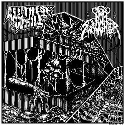 Nunslaughter : All These While - Nunslaughter